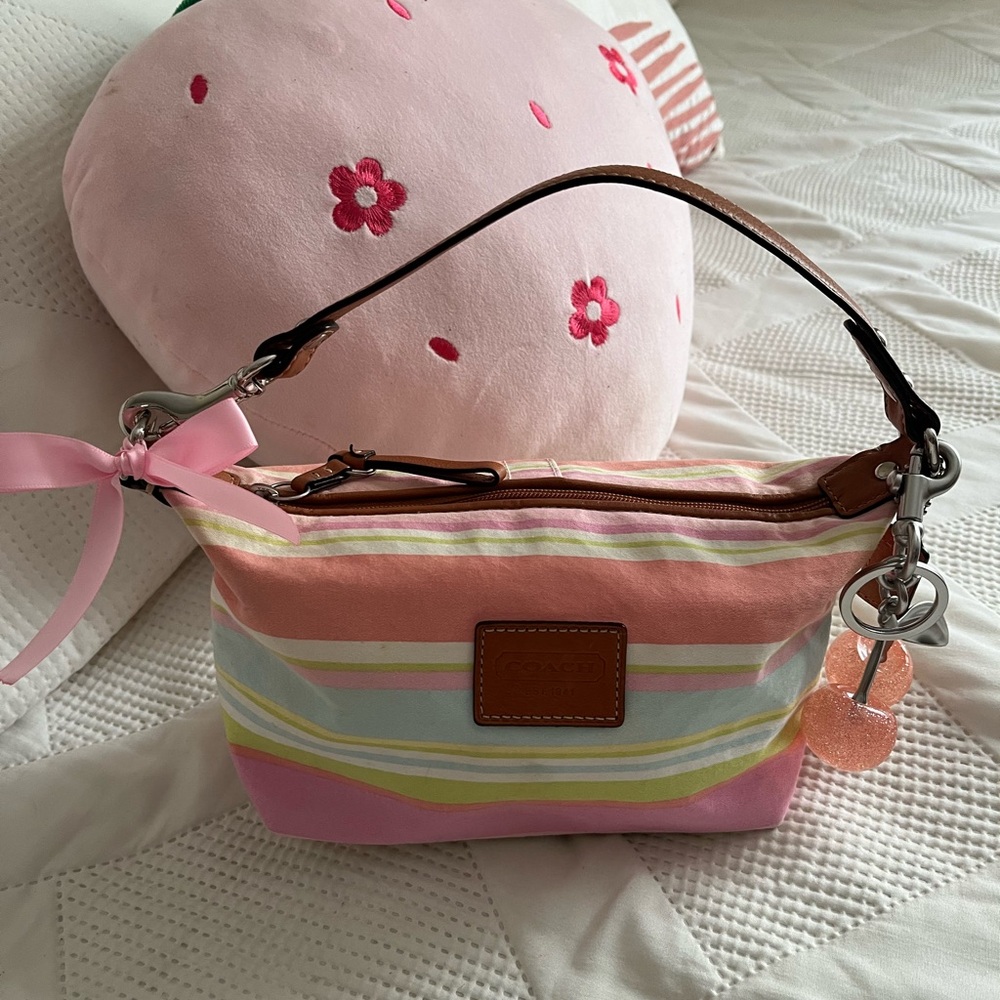 Coach Colorful Striped mini hand purse